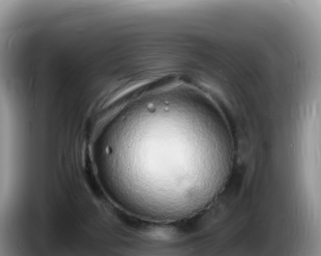 X0000086260210200704051309