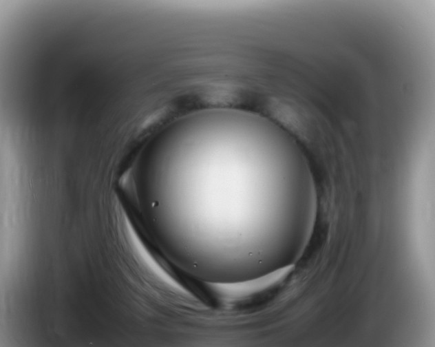 X0000086260211200704051309