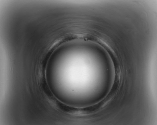 X0000086260212200704051309