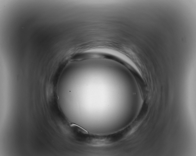 X0000086260213200704051309