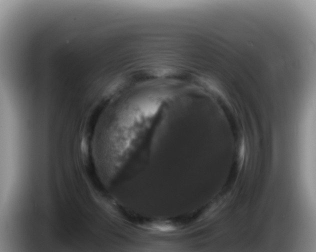 X0000086260214200704051309
