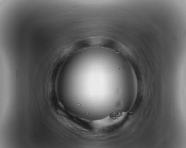X0000086260215200704051309