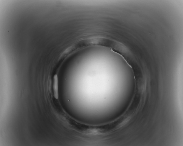 X0000086260216200704051309
