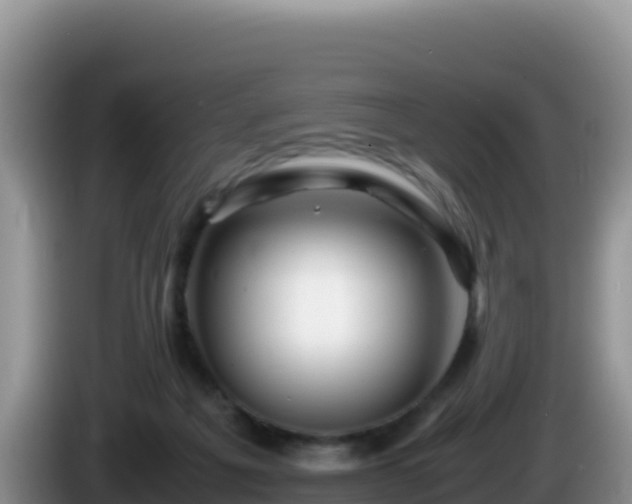 X0000086260217200704051309