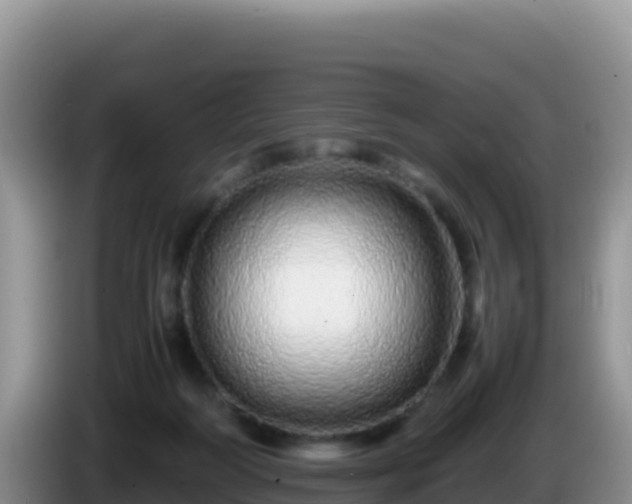 X0000086260218200704051309