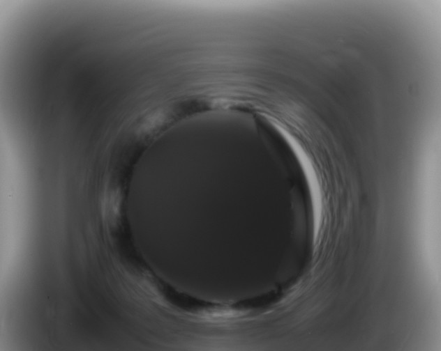 X0000086260219200704051309