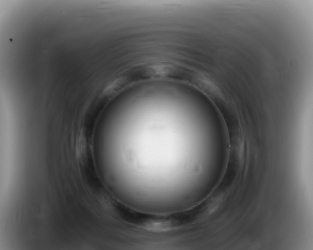 X0000086260220200704051309