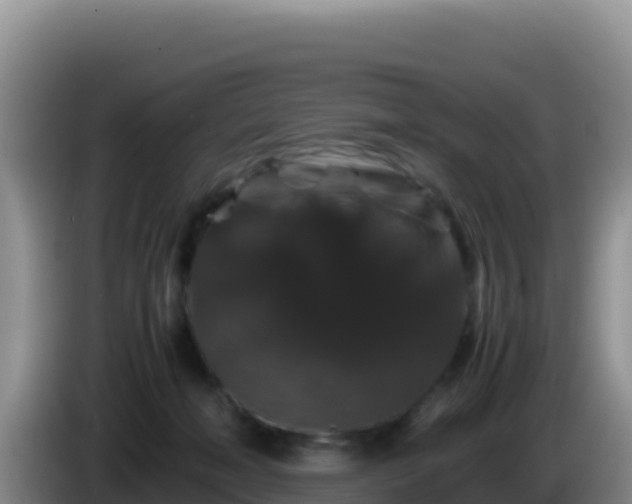 X0000086260222200704051309