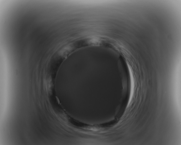 X0000086260223200704051309