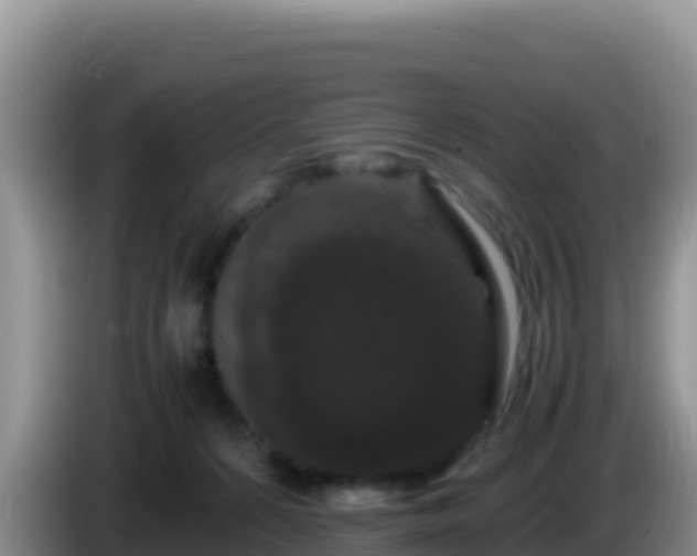 X0000086260224200704051309