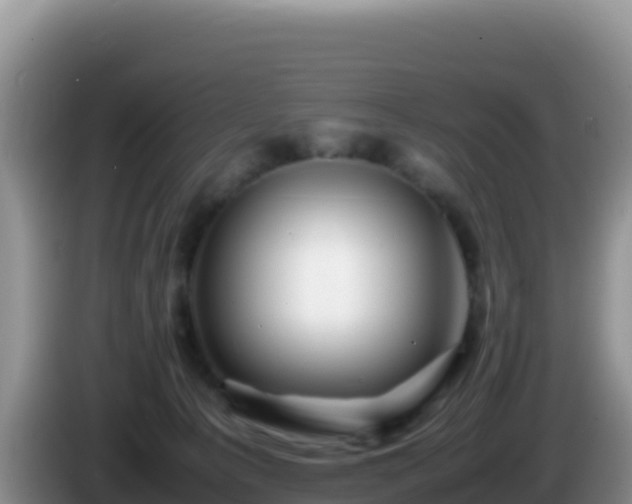 X0000086260225200704051309