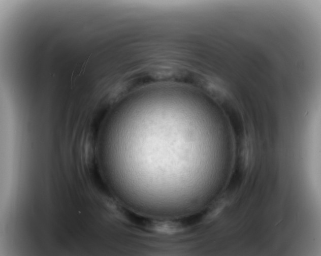 X0000086260226200704051309