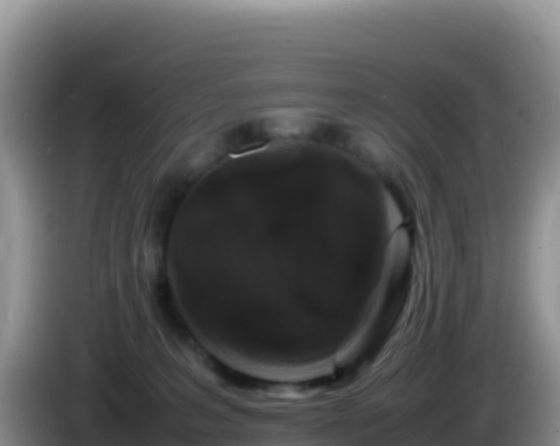 X0000086260227200704051309