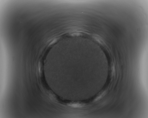 X0000086260228200704051309