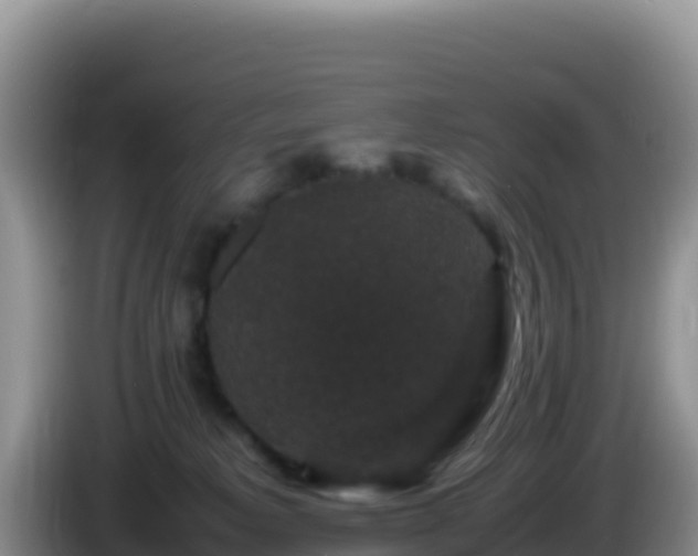 X0000086260229200704051309