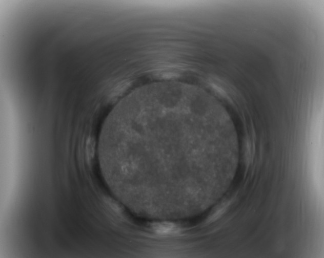 X0000086260230200704051309