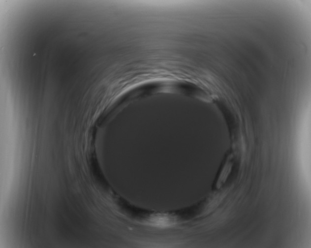 X0000086260231200704051309