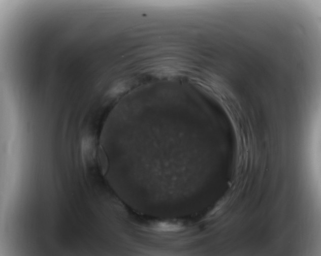 X0000086260232200704051309