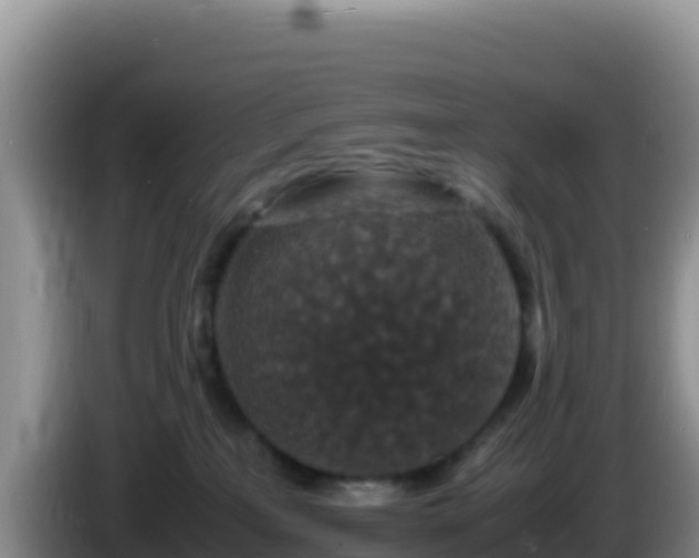 X0000086260233200704051309