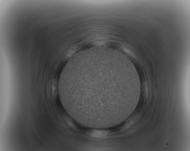 X0000086260234200704051309