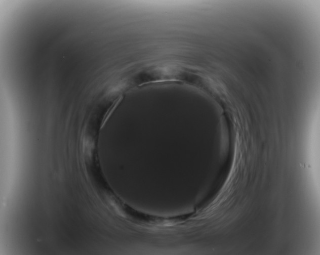 X0000086260235200704051309