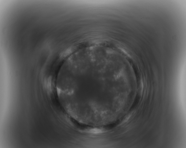 X0000086260236200704051309