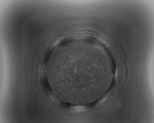 X0000086260237200704051309