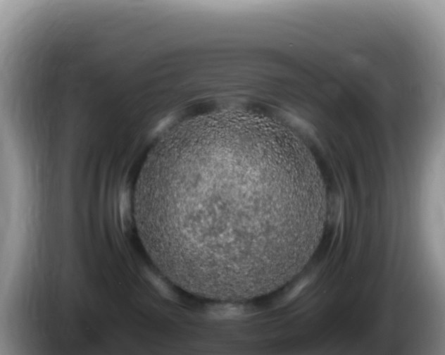 X0000086260238200704051309
