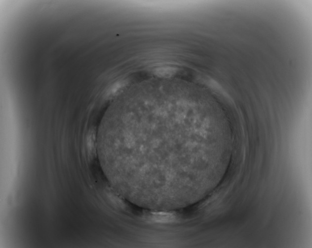 X0000086260240200704051309