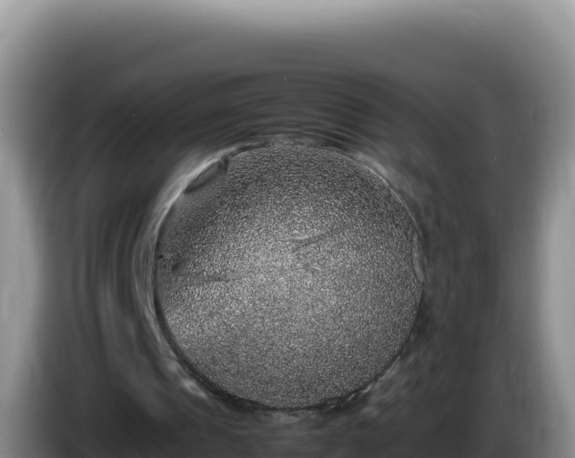 X0000086260241200704051308