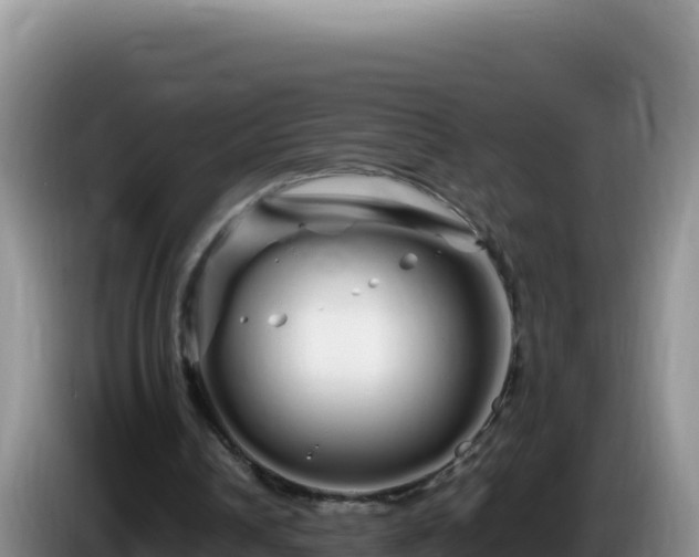 X0000086260242200704051308