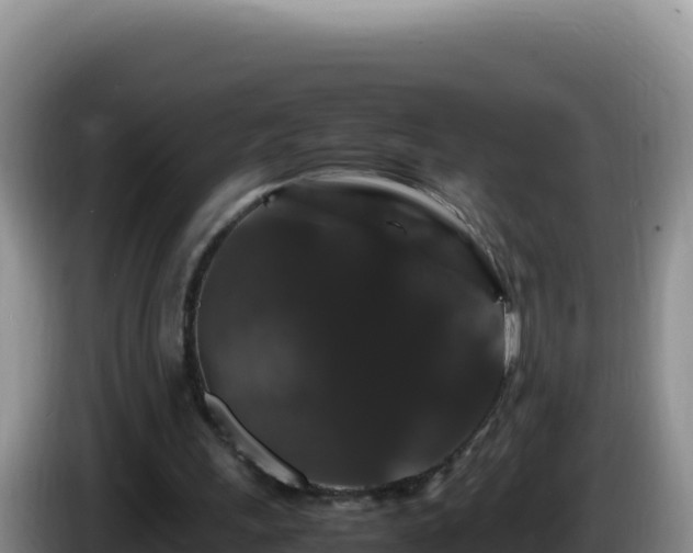 X0000086260243200704051308