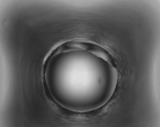 X0000086260244200704051308
