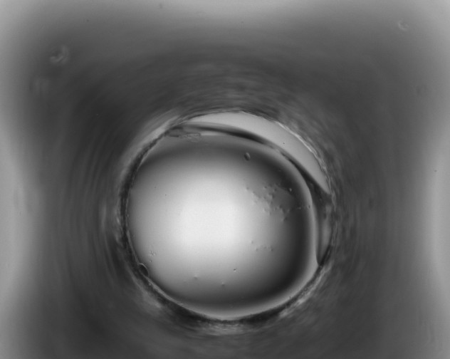 X0000086260245200704051308