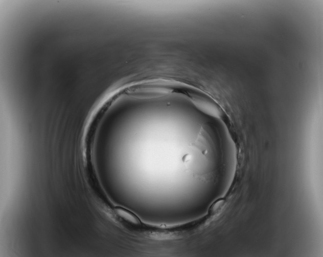 X0000086260246200704051308