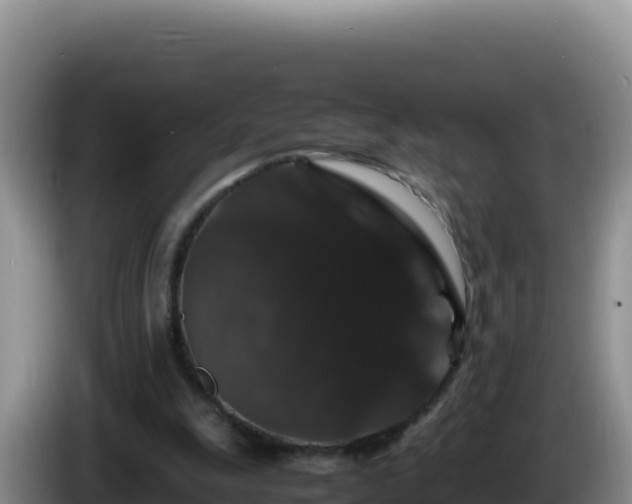 X0000086260247200704051308