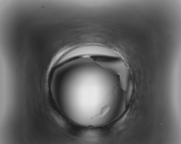 X0000086260248200704051308