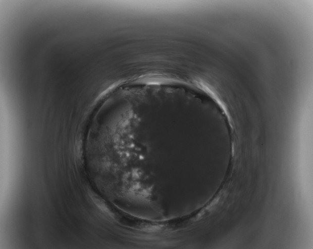 X0000086260249200704051308