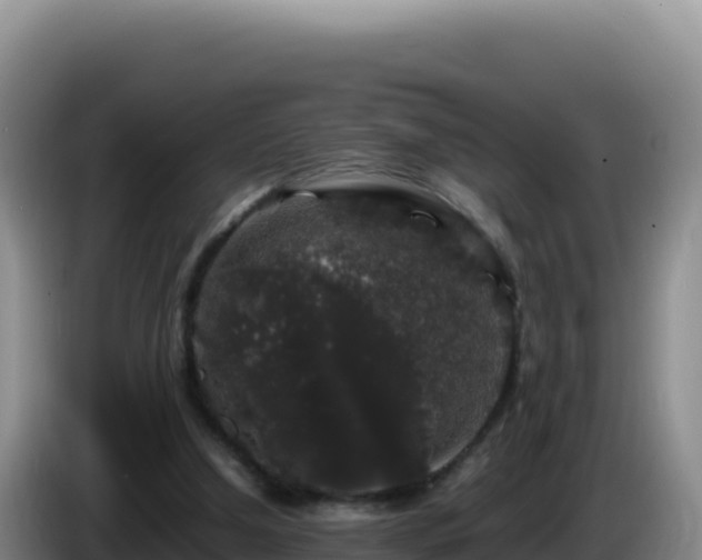 X0000086260250200704051308