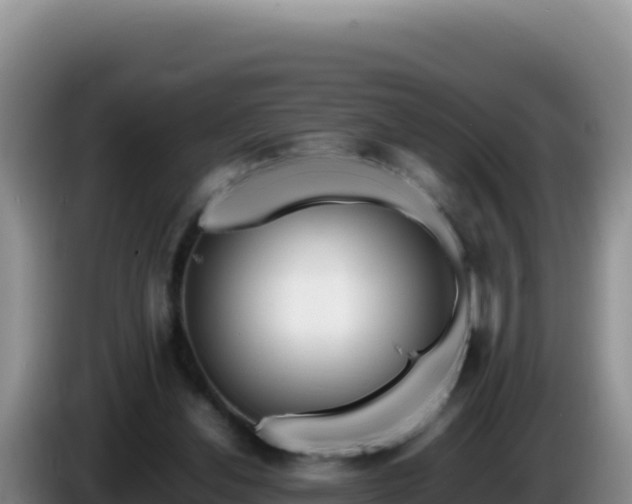 X0000086260252200704051308