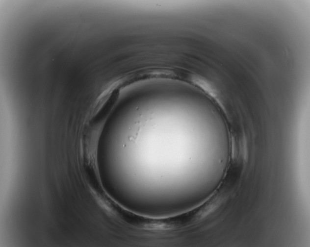 X0000086260253200704051308