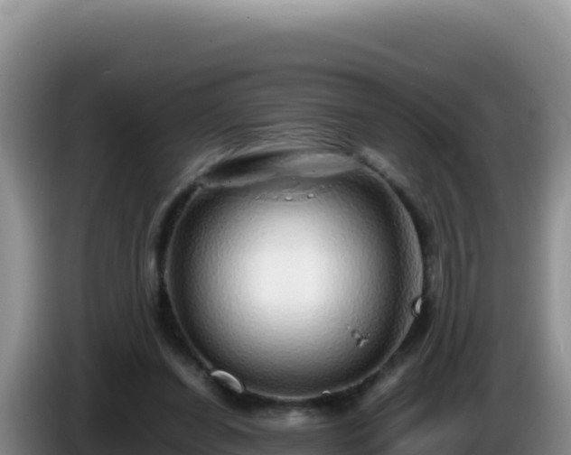 X0000086260254200704051309