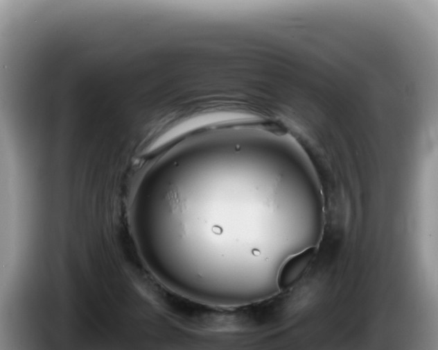 X0000086260255200704051309