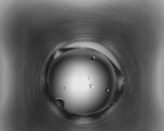 X0000086260256200704051309