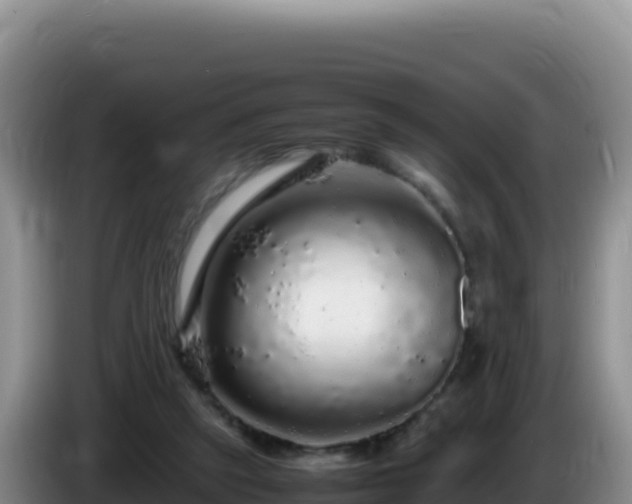 X0000086260257200704051309