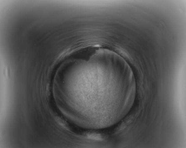 X0000086260258200704051309