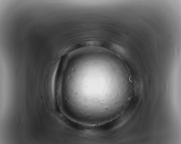X0000086260259200704051309