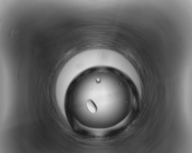 X0000086260260200704051309