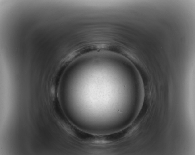 X0000086260262200704051309