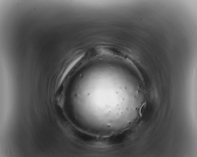 X0000086260263200704051309